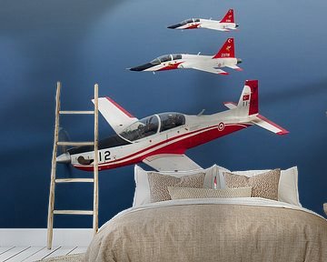 Turkish Air Force KT-1 Woongbi & T-38 Talon