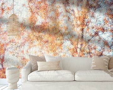 Birch in autumn by Daniela Beyer