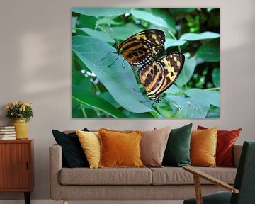 Tropische vlinder Tropical Butterfly (Collectie 2018) van Jan van Bruggen