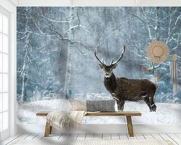 quiet moment in the wild snowstorm by Daniela Beyer