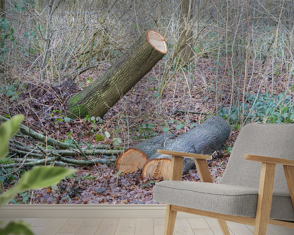 Raumvorschau