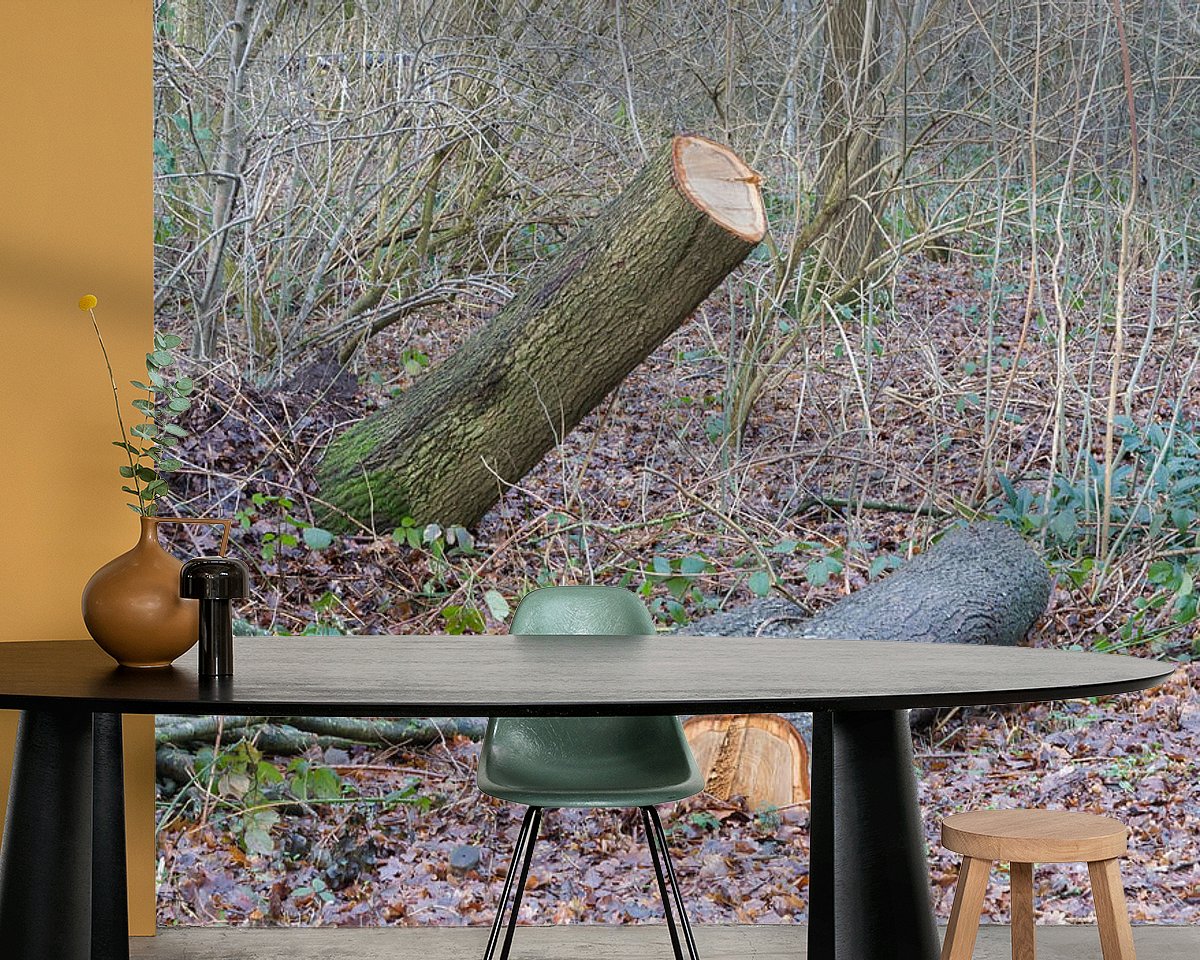 Raumvorschau