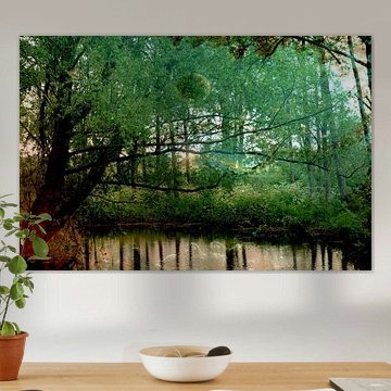 Leaf bubble in forest 