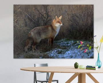 Fox by Margaretha Gerritsen