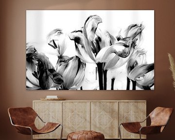 Tulips in black & white by Iris van Loon