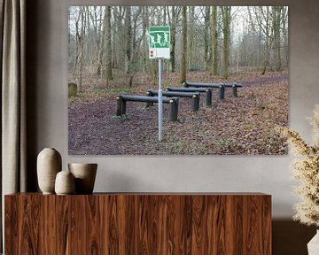 Fitness equipment in a forest - One stage of many van Micha Klootwijk