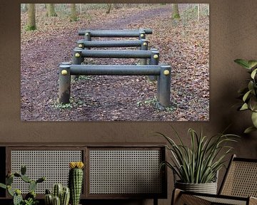 Fitness equipment in a forest - One stage of many van Micha Klootwijk