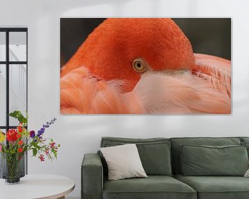 Flamingo von Eric Vink