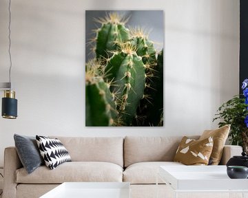Cactus van Kimberly Zanting