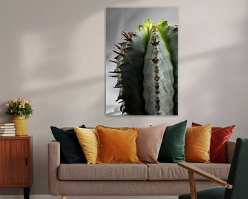 Cactus van Kimberly Zanting