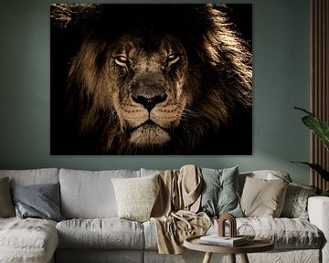Dunkler Löwenkopf Nahaufnahme, während er Sie direkt anschaut von Atelier Liesjes