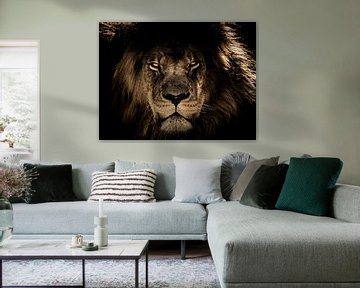 Dunkler Löwenkopf Nahaufnahme, während er Sie direkt anschaut von Atelier Liesjes