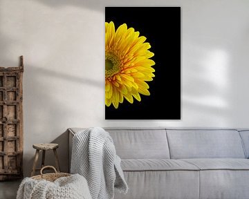 Gerbera von Tanja van Beuningen