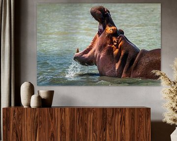 Nijlpaard in de rivier in Zuid Afrika van Rob Reedijk
