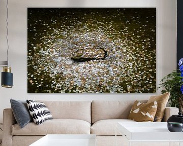 Coins in a pond near a Japanese temple by Marcel Alsemgeest