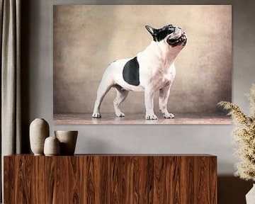 French Bulldog van Jana Behr