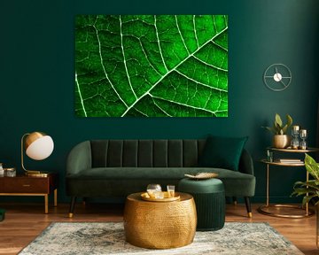 LEAF STRUCTURE GREENERY by Pia Schneider