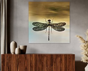 DRAGONFLY I