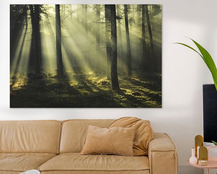 Aperçu de la chambre