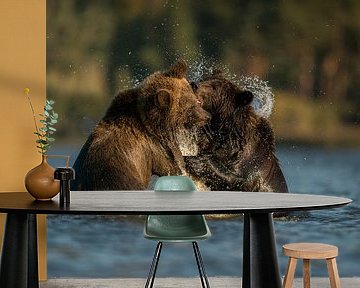 European Brown Bears *Ursus arctos* van wunderbare Erde