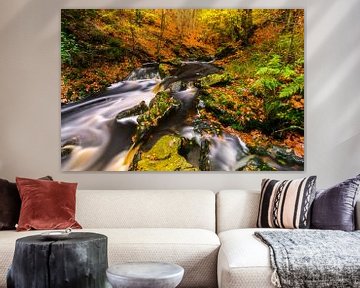 Autumn stream with green boulders by Karla Leeftink
