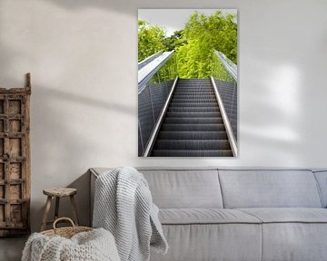 Escalator to the trees by Martijn Stoppels