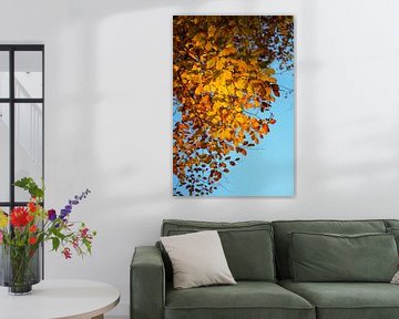 Herfstbladeren