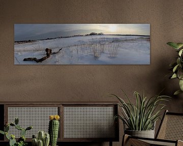 Panorama Besneeuwde Duinen van Leo van Valkenburg