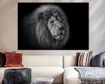 Der König – Portrait eines Löwen von Ron Meijer Photo-Art