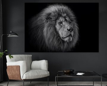 Der König – Portrait eines Löwen von Ron Meijer Photo-Art