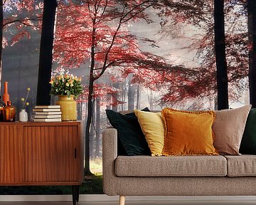 The art of light by Bart Ceuppens