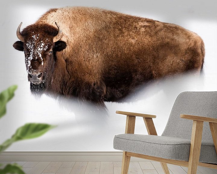 Sfeerimpressie behang: Amerikaanse bizon van Caroline Piek