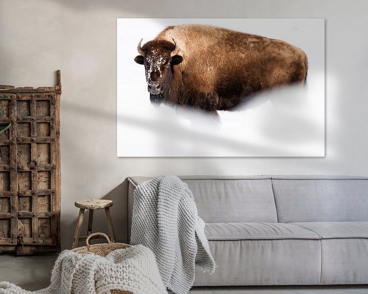 Sfeerimpressie: Amerikaanse bizon van Caroline Piek