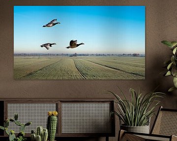Vliegende ganzen boven weids polder landschap van Gerard Wielenga