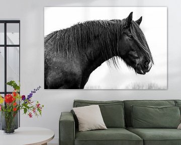 Black tinker horse by Lina Heirwegh