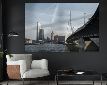 Skyline Rotterdam van Tim Vlielander