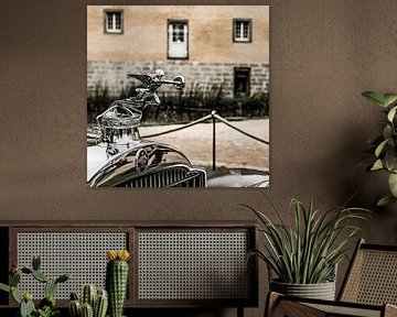 Packard radiator ornament van autofotografie nederland