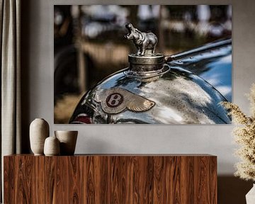 Bentley nijlpaard radiator ornament van autofotografie nederland