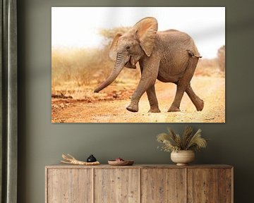 Junger Elefant läuft ins Licht, Südafrika