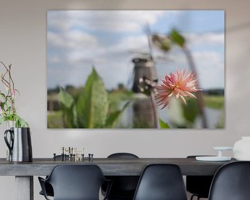 Bloem met molen