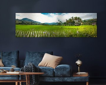 Panorama of a landscape with rice fields in Laos by Rietje Bulthuis