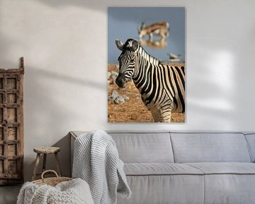 Zebra an einer Wasserstelle