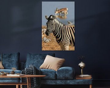 Zebra bij een waterpoel van Antwan Janssen
