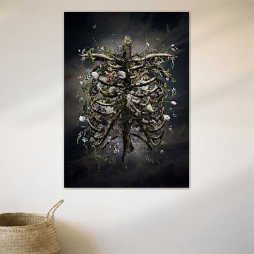 Je vais grandir sur Jesper Krijgsman