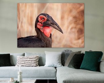 Southern ground hornbill by Lotje Hondius