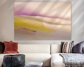 Layers (Abstracte foto van gekleurde lagen) van Birgitte Bergman