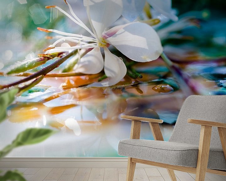 Sfeerimpressie behang: Macrofotografie witte bloem van angelique van Riet