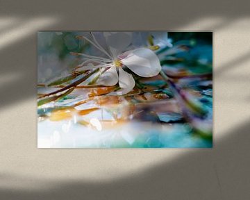 Macrofotografie witte bloem