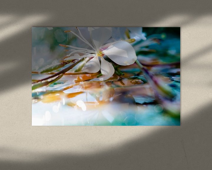 Sfeerimpressie: Macrofotografie witte bloem van angelique van Riet