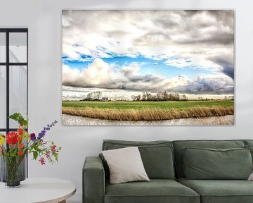 Fries Landschap